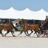 Combined Driving at Live Oak International